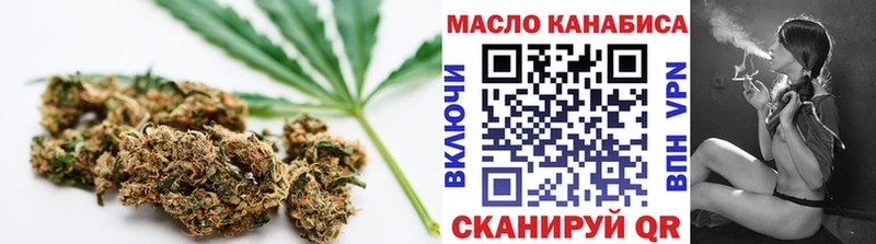 сколько стоит  Шенкурск  ТГК концентрат 