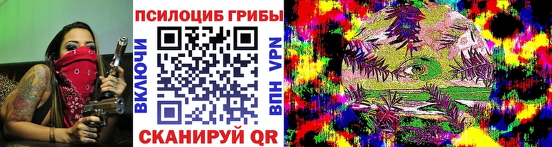 Галлюциногенные грибы мухоморы  мега как войти  Шенкурск  как найти  