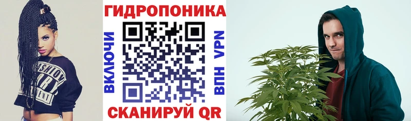 Бошки Шишки VHQ  наркотики  блэк спрут онион  Шенкурск 